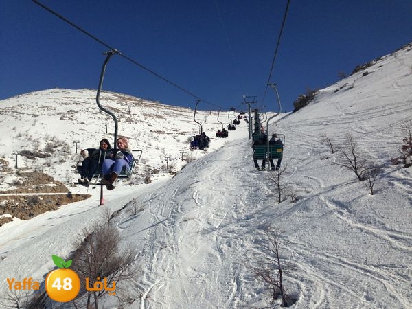 jabalelskheikhlud (8).JPG